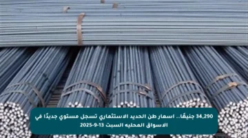 34,290 جنيهًا.. أسعار طن الحديد الاستثماري تسجل مستوى جديدًا في الأسواق المحلية السبت 13-9-2025